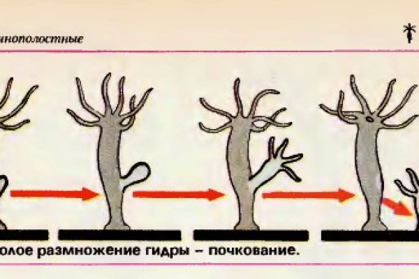 Купить наркотики онлайн